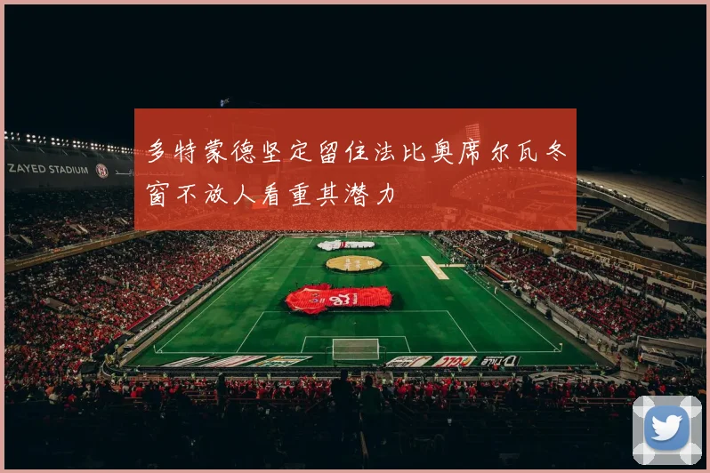 多特蒙德坚定留住法比奥席尔瓦冬窗不放人看重其潜力