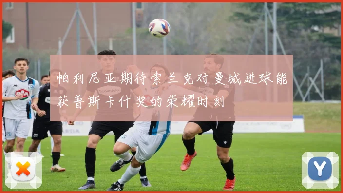 帕利尼亚期待索兰克对曼城进球能获普斯卡什奖的荣耀时刻